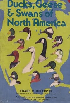 Ducks Geese & Swans of North America